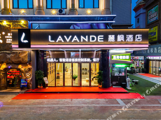 麗枫酒店(东莞谢岗店)