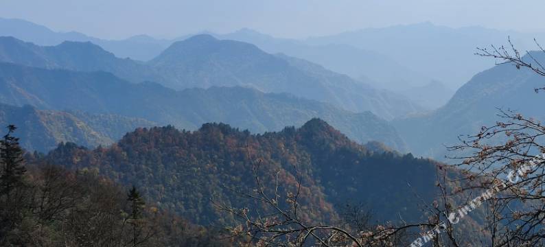 太白鑫旭民宿图片