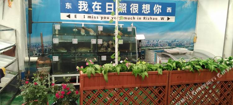 陆号渔家小院图片