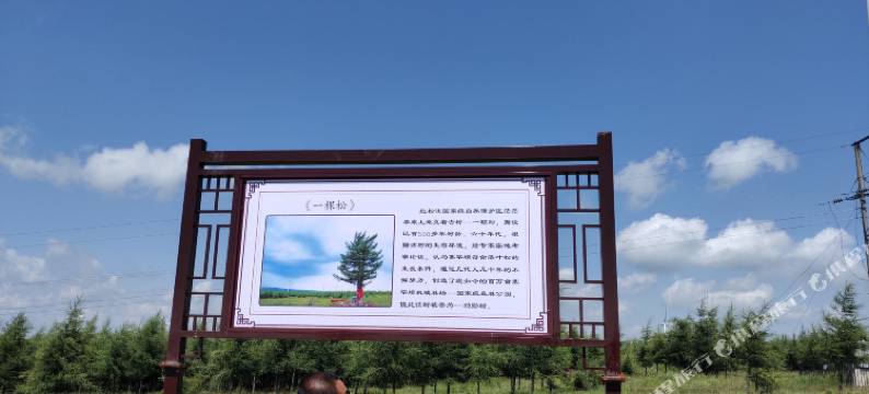 富贵树农家院图片