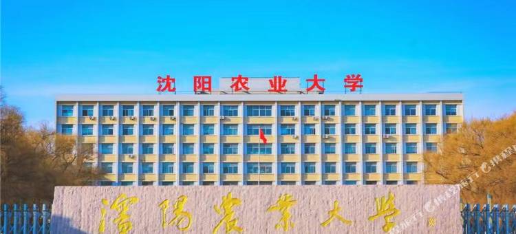 沈阳转角民宿(锦城邻里店)图片