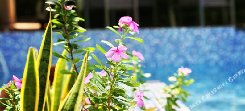 涠洲岛竹里馆民宿图片