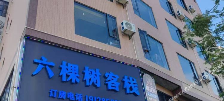 六棵树客栈图片