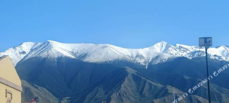 巴里坤玖居民宿图片