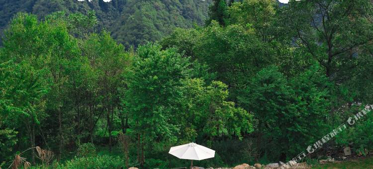 云浮半山•度假民宿图片