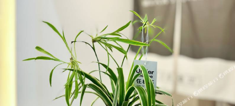 途悦公寓(宁德新能源科技店)图片