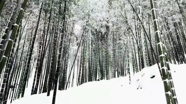 花筑悦·莫干山云迹坡温泉美墅(后坞换乘中心店)图片