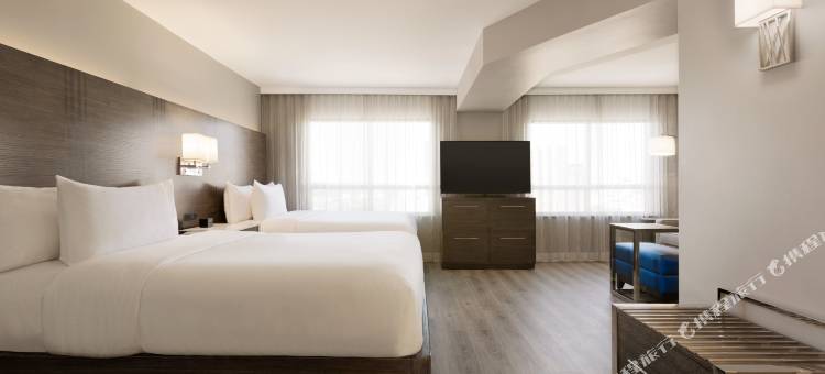 多伦多机场希尔顿安泊套房酒店(Embassy Suites by Hilton Toronto Airport)图片