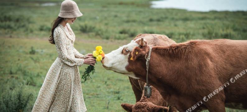 墅家玉庐·日照金山纳西秘境Villa(丽江店)图片