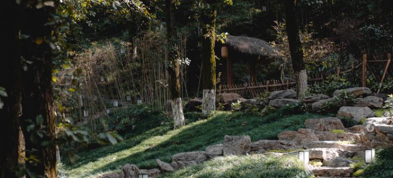 蠡山沄居汤泉度假村图片
