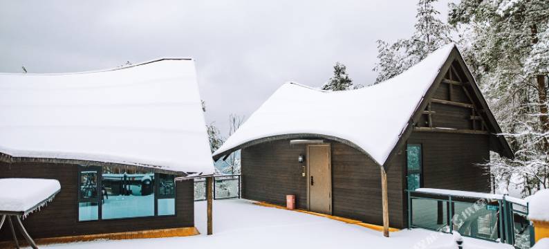 酉阳桃花源森林酒店图片