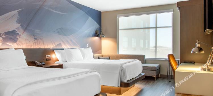 北菲尼克斯斯科茨代尔希尔顿花园酒店(Hilton Garden Inn North Phoenix Scottsdale)图片