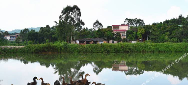 惠东爱尚商务公寓图片