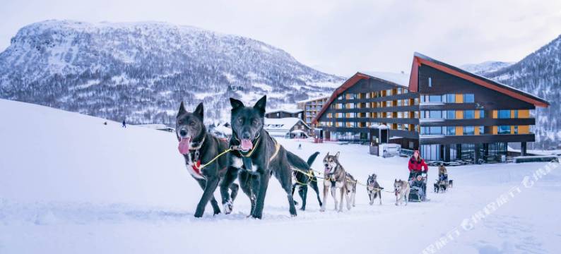 Myrkdalen度假酒店(Myrkdalen Resort Hotel)图片