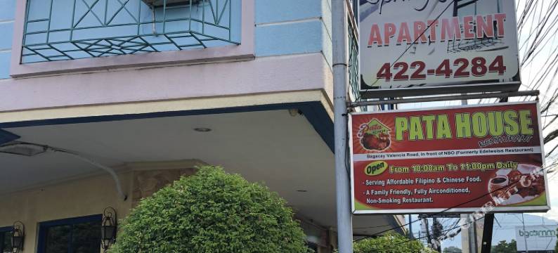 杜马格特泉公寓(Dumaguete Springs Apartment)图片