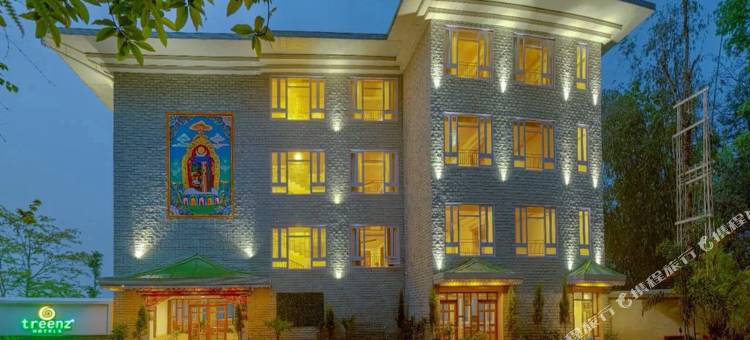 特里恩茨酒店(Treenz Hotel)图片