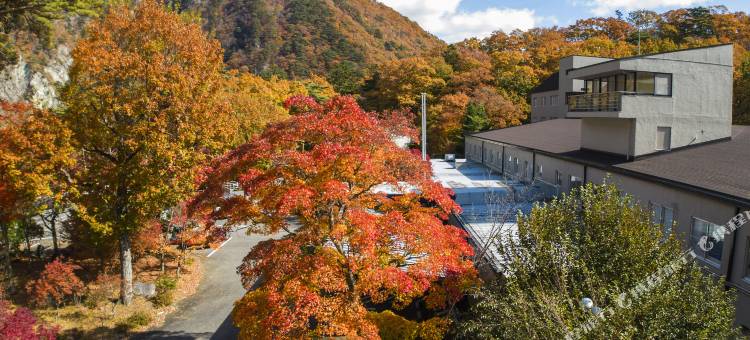龟乃井酒店盐原-宠物友好酒店(KAMENOI HOTEL SHIOBARA Dog Friendly Hotel)图片