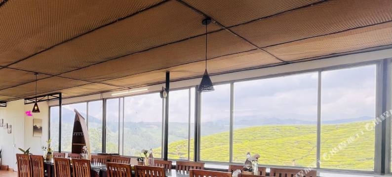 7 马莱民宿(7 Malai Residency Munnar)图片