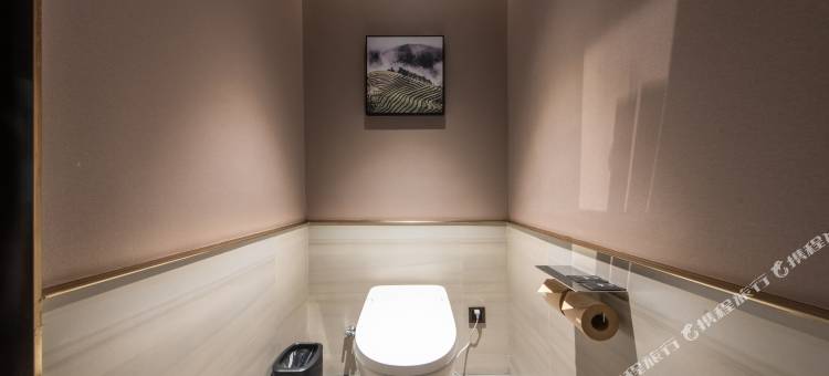 深圳会展中心岗厦地铁站亚朵X酒店图片