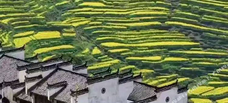 花韵山居·篁岭cauliflower晒秋观景美墅图片