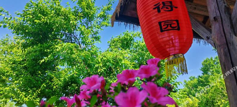 宏村舍得园客栈(宏村景区店)图片