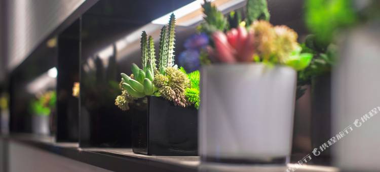 如家商旅(广州东站燕塘地铁站店)图片