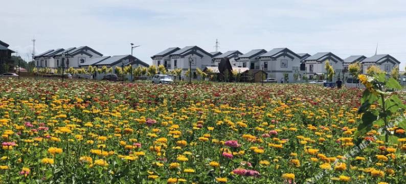 张家口德胜民俗村张北天路/三居别墅落脚点图片