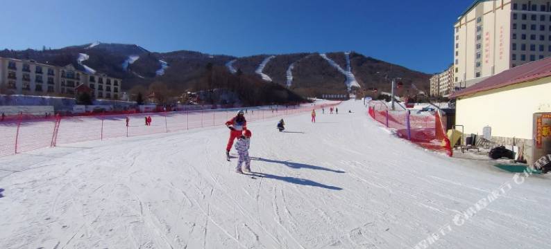 哈尔滨亚布力枫林庄稼院特色民宿图片