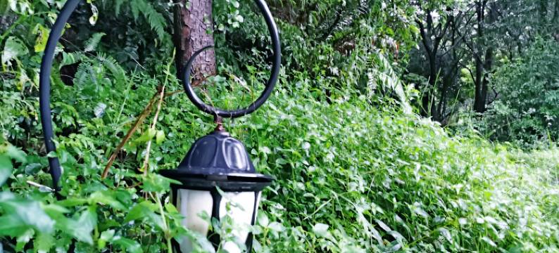 新余彩色村度假酒店图片