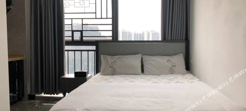 广州未来公寓(中新广州知识城旺村地铁站店)图片