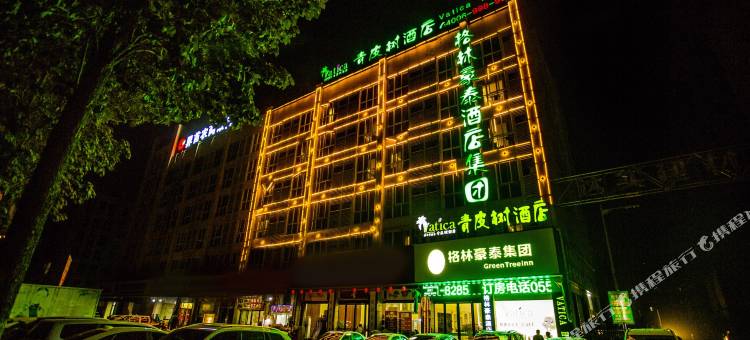 青皮树酒店(界首宁洛高速路口店)图片
