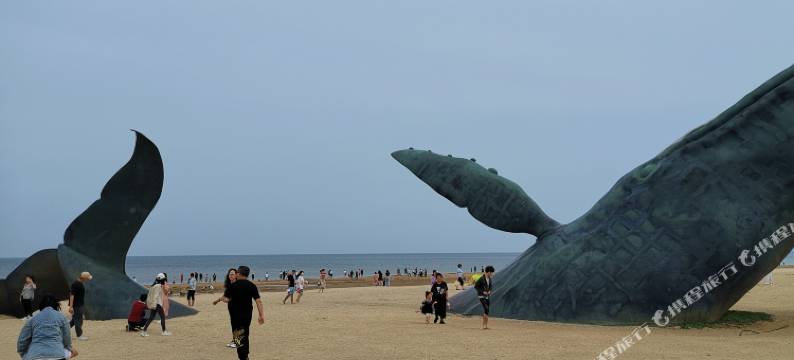 野有云酒店式公寓(开发区万达广场店)图片