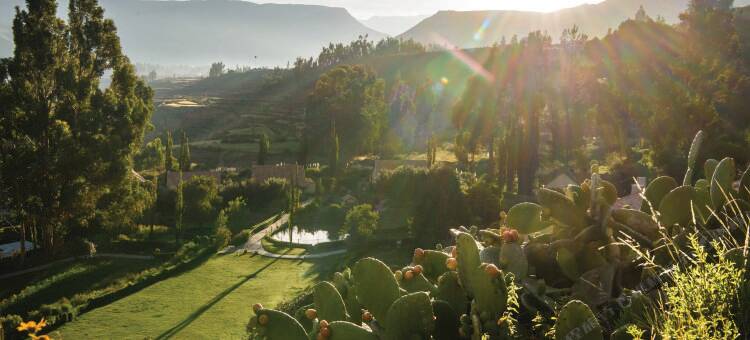 拉斯卡西塔酒店，贝梦德酒店，科尔卡峡谷(Las Casitas, A Belmond Hotel, Colca Canyon)图片