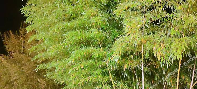 轻住酒店(南京禄口国际机场店)图片