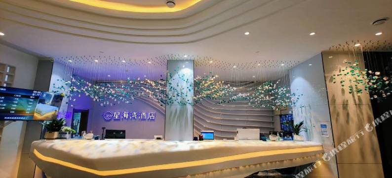 北流星海湾酒店(南站店)图片