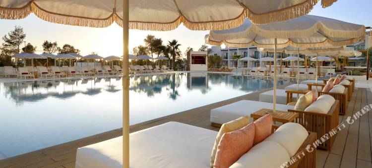 TRS 伊维萨酒店 - 仅供成人入住 16 岁以上(TRS Ibiza Hotel- Adults Only+16)图片