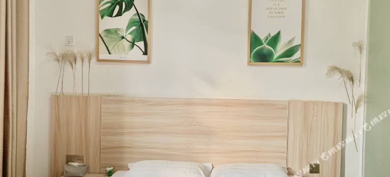 自由报舍民宿图片