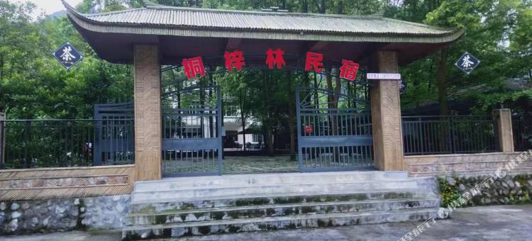 绵竹桐梓林民宿图片