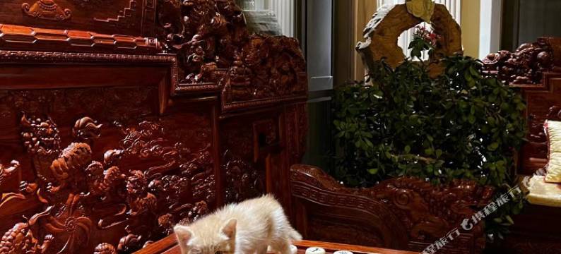 九涧畔淼悦泳池民宿图片