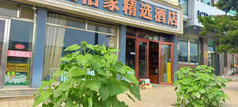 阿拉善左旗怡家精选酒店图片