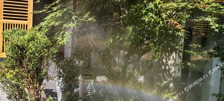 韵林居民宿(大理巍山古城店)图片