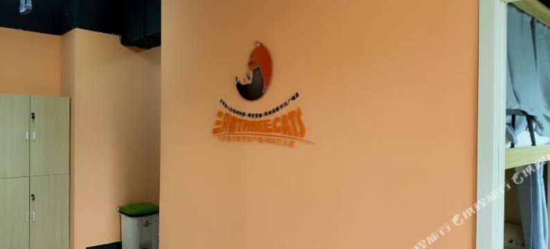 三只猫青年旅舍(亳州高新万达店)图片