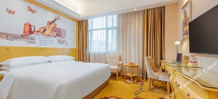 维也纳酒店(龙州店)图片