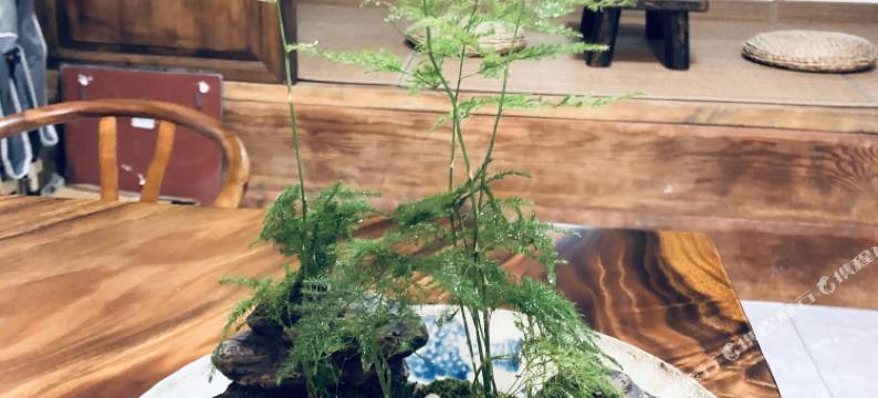 政和椰槟·岚兮舍图片