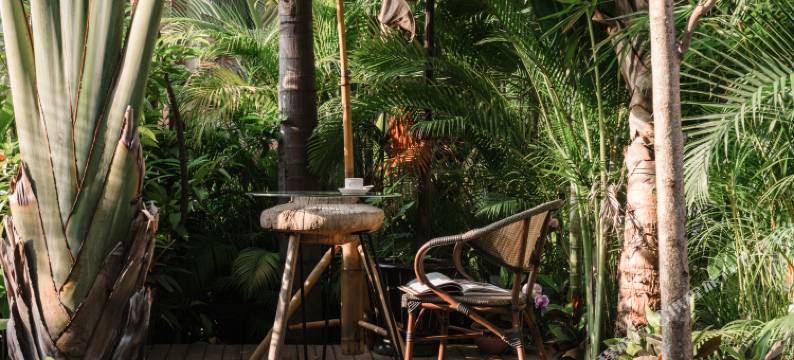 西双版纳享·自在独立设计度假艺墅图片
