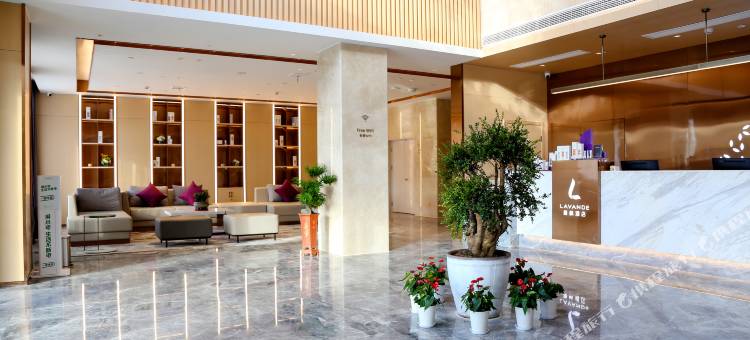 麗枫酒店(婺源文化广场儒林路店)图片