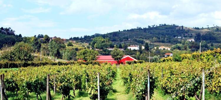 拉万蒂拉杜罗自然与健康(Lavandeira Douro Nature & Wellness)图片