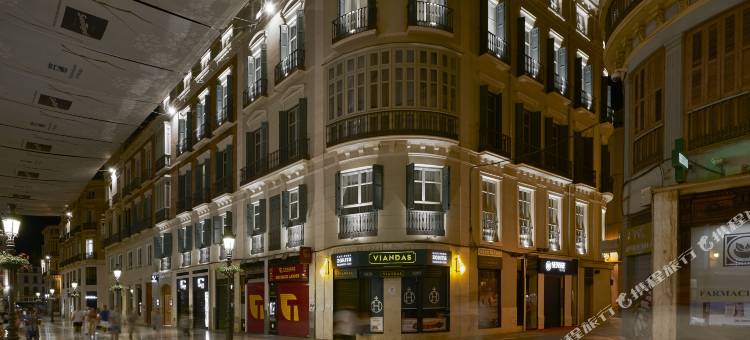 文奇拉里奥斯十号酒店(Vincci Larios Diez)图片