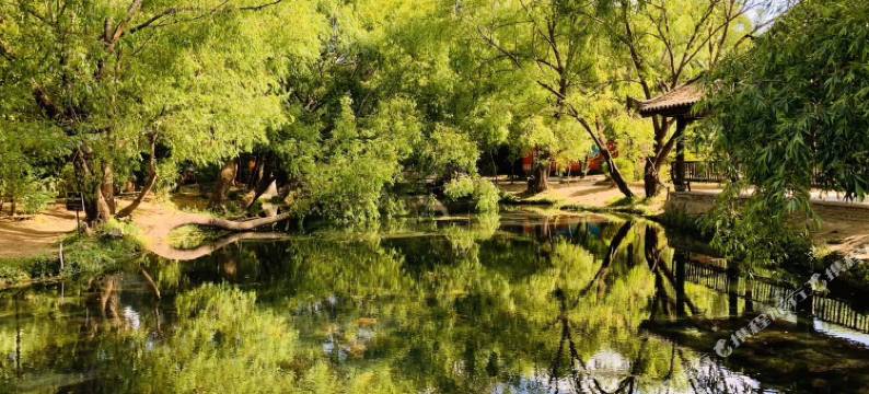 丽江束河云梦泽私人尚品客栈图片