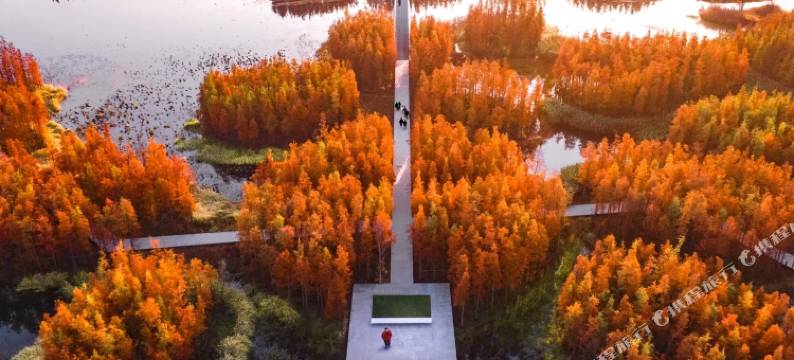 希岸酒店(南昌高新吾悦广场北沥地铁站店)图片